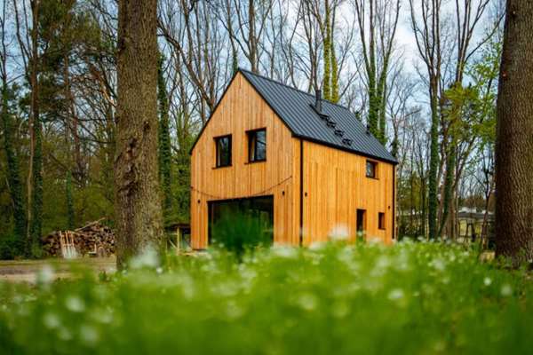 Projektowanie domów z drewna
